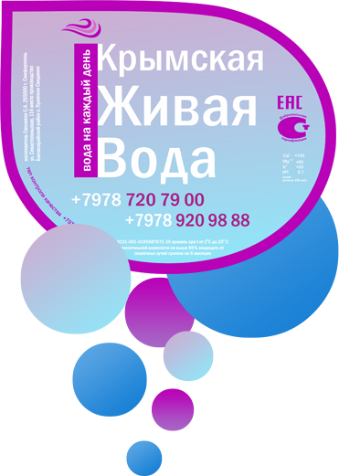 logo big